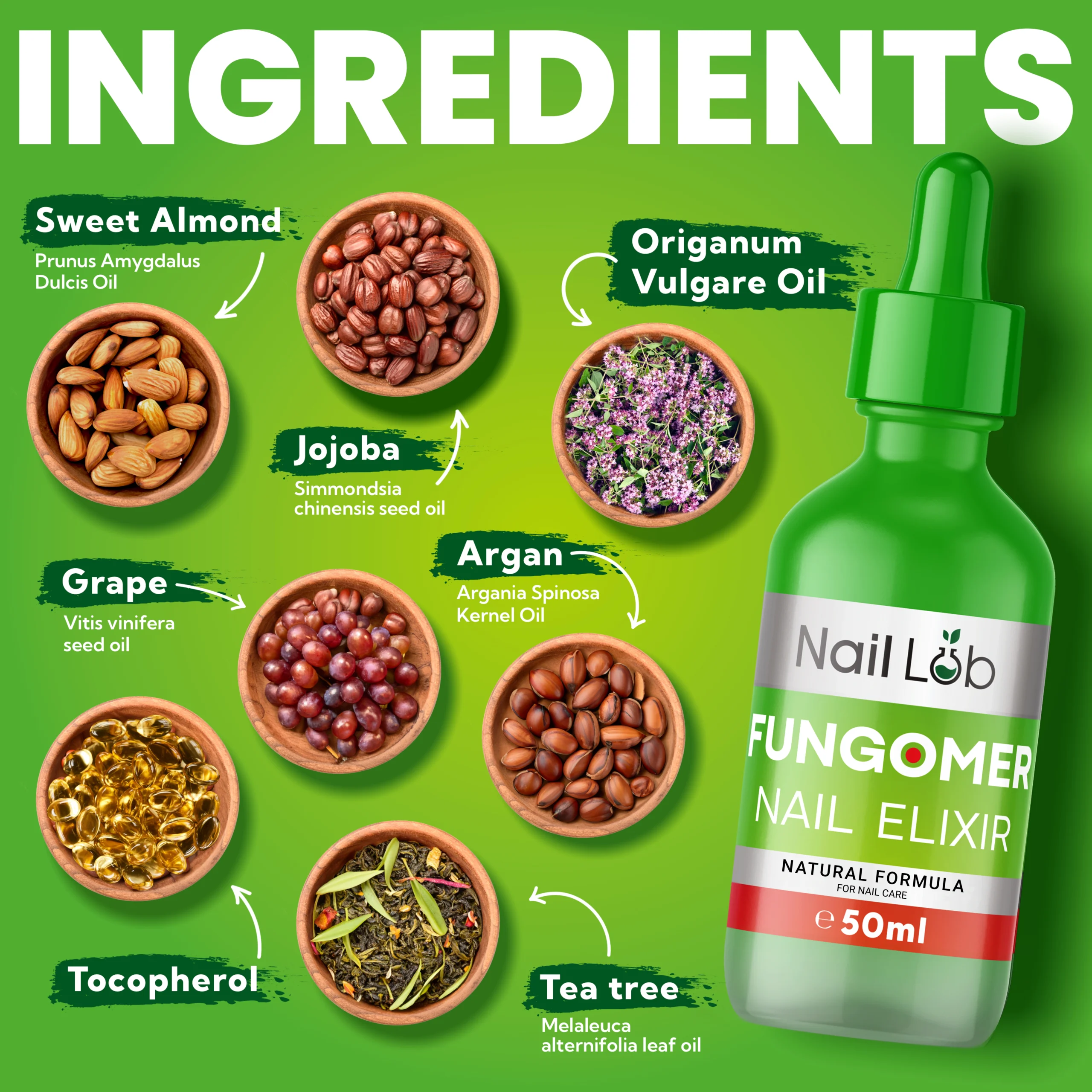 Ingredients of Fungomer Nail Elixir by Nail Lab: Sweet Almond, Jojoba, Grape Seed, Tocopherol, Argan, Tea Tree, and Origanum Vulgare Oils. Natural formula for nail care.