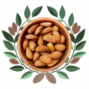 almond_full